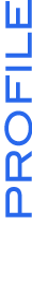 Decathlon consulting - Profilo