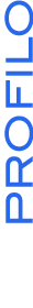 Decathlon consulting - Profilo